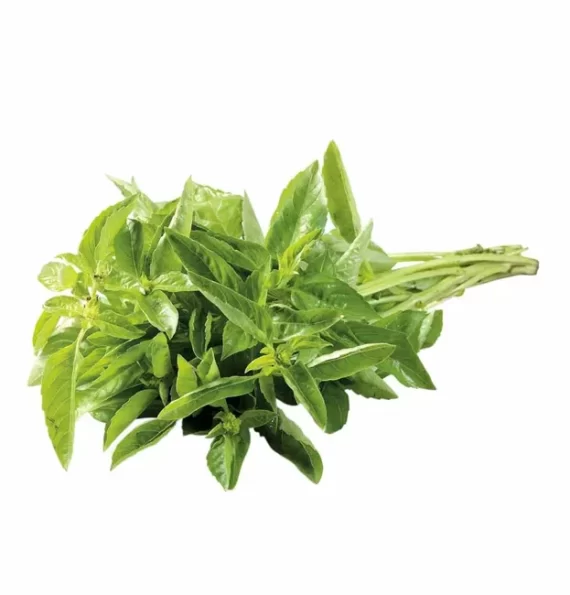 Albahaca x Atado