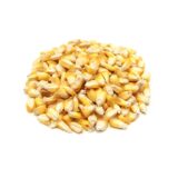 Cancha chulpi x Kg - Abarrotes - Comprar en Toorfood delivery abarrotes a domicilio