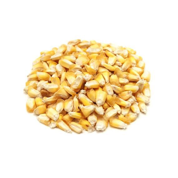 Cancha chulpi x Kg - Abarrotes - Comprar en Toorfood delivery abarrotes a domicilio